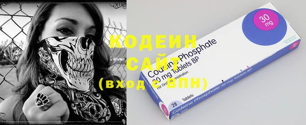 дмт Инсар