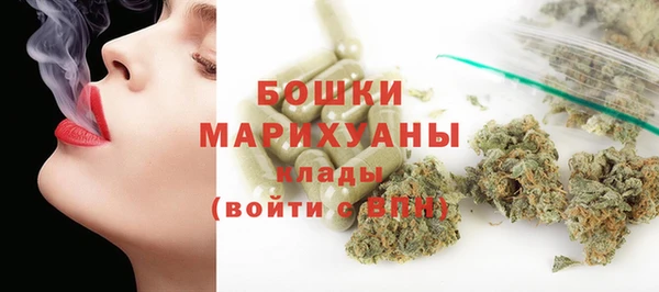 МДПВ Инта