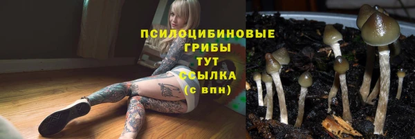 альфа пвп Туринск