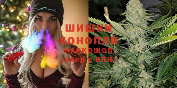 дмт Инсар
