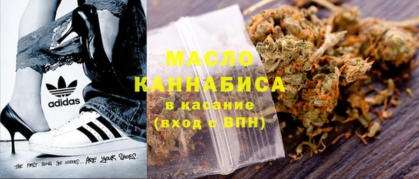 дмт Инсар