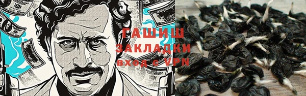 дмт Инсар