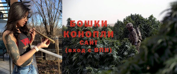 дмт Инсар
