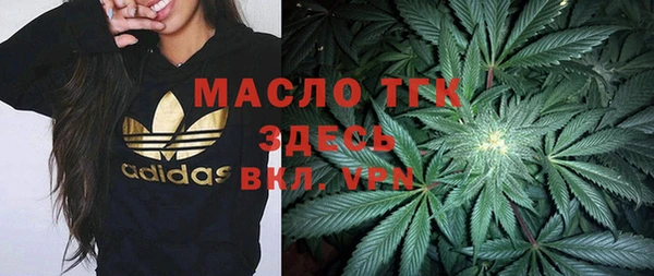 дмт Инсар