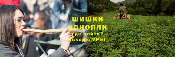 МДПВ Инта