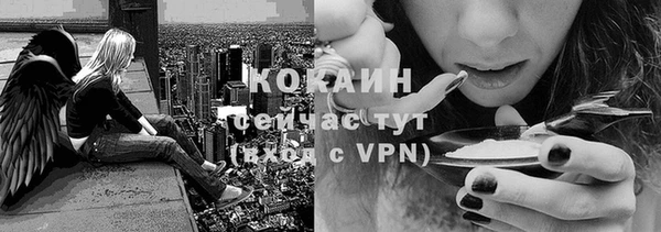 МДПВ Инта