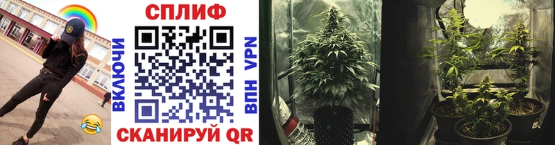 Канабис SATIVA & INDICA  Купить закладки  Нытва 